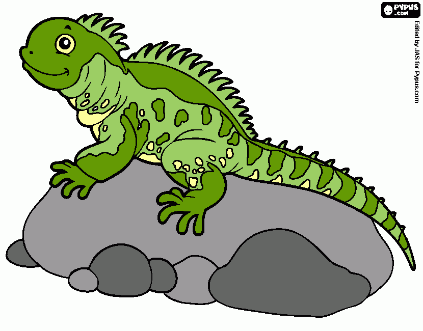 iguana col da colorare