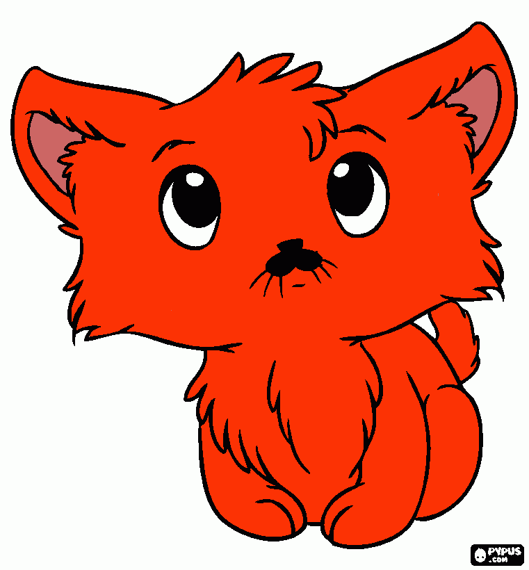 il gattino con gli occhi dolci da colorare