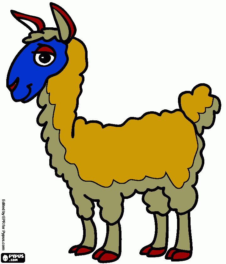 il lama positivo da colorare