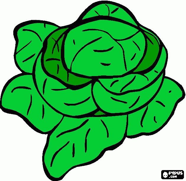 insalata da colorare