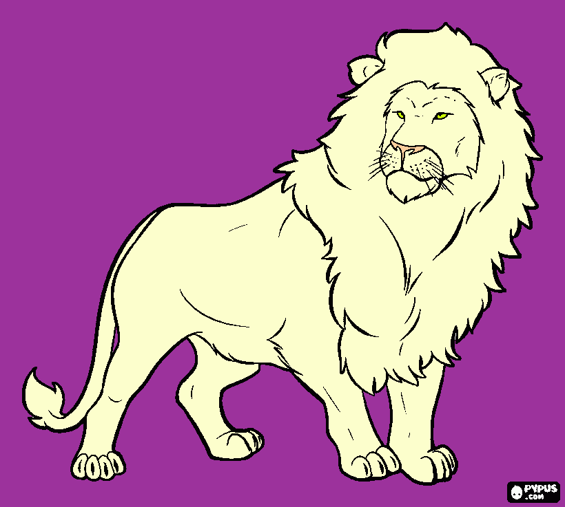 leone bianco da colorare