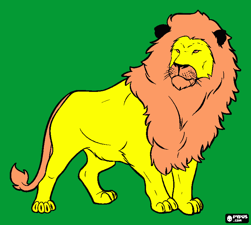 Leone dadà da colorare
