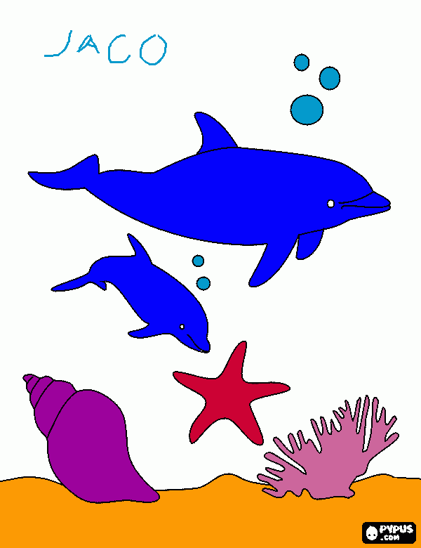 mondo marino da colorare