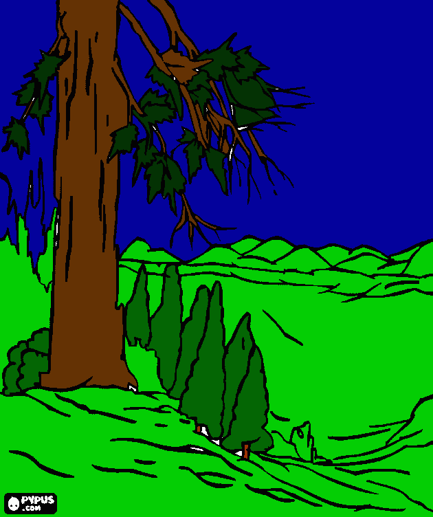 montagmia da colorare
