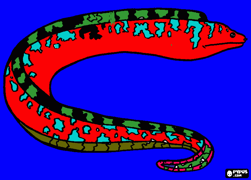 murena da colorare