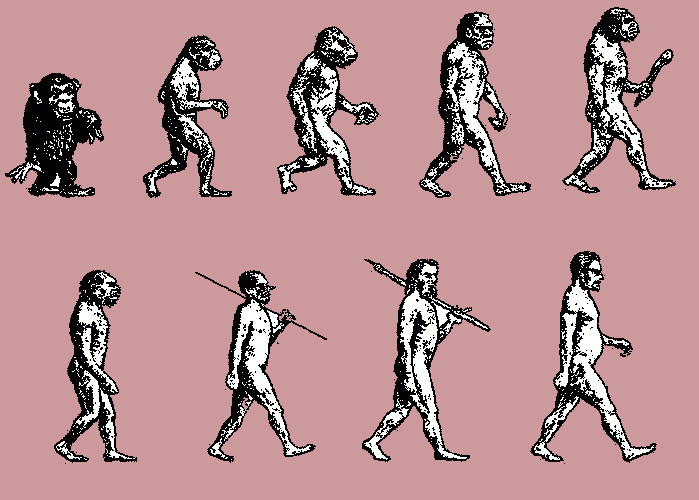 ominidi evoluzione da colorare