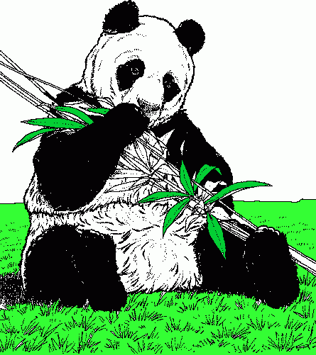 panda mangia bambù da colorare