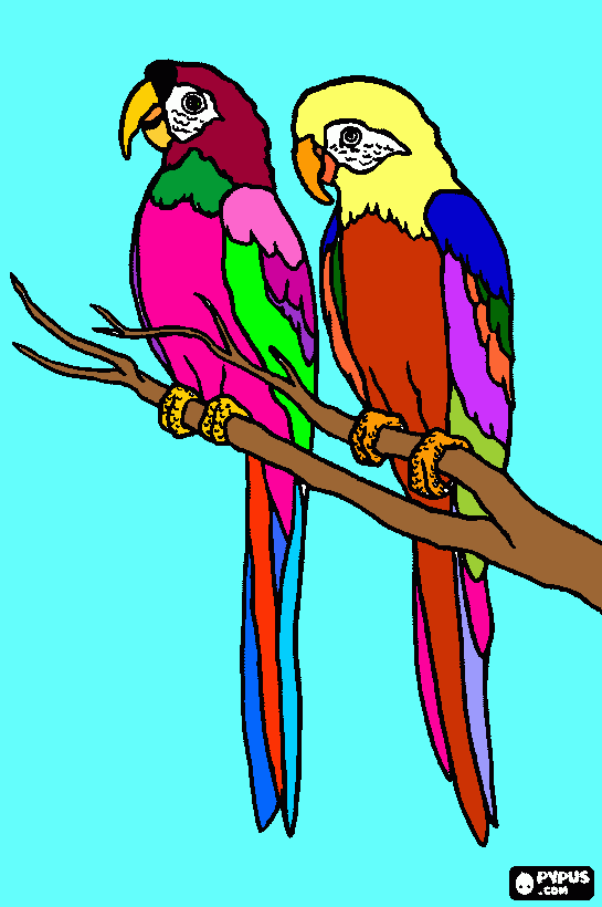 pappagalli da colorare