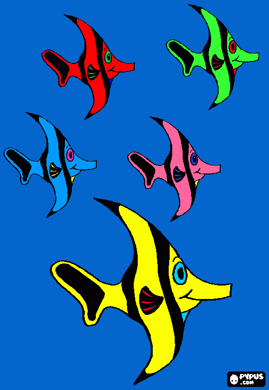 pesci angelo da colorare