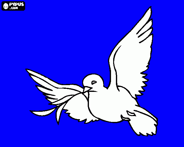 piccione da colorare