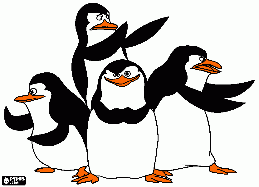 pinguini di madagascar da colorare