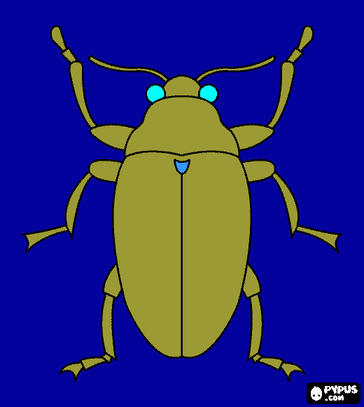 scarabeo notturno da colorare