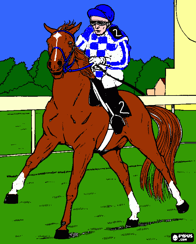 secretariat da colorare