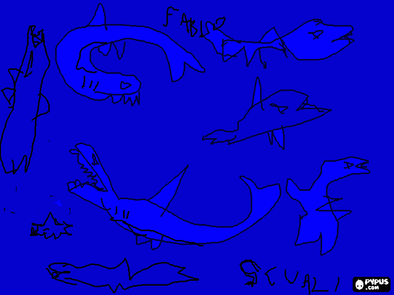 squali da colorare