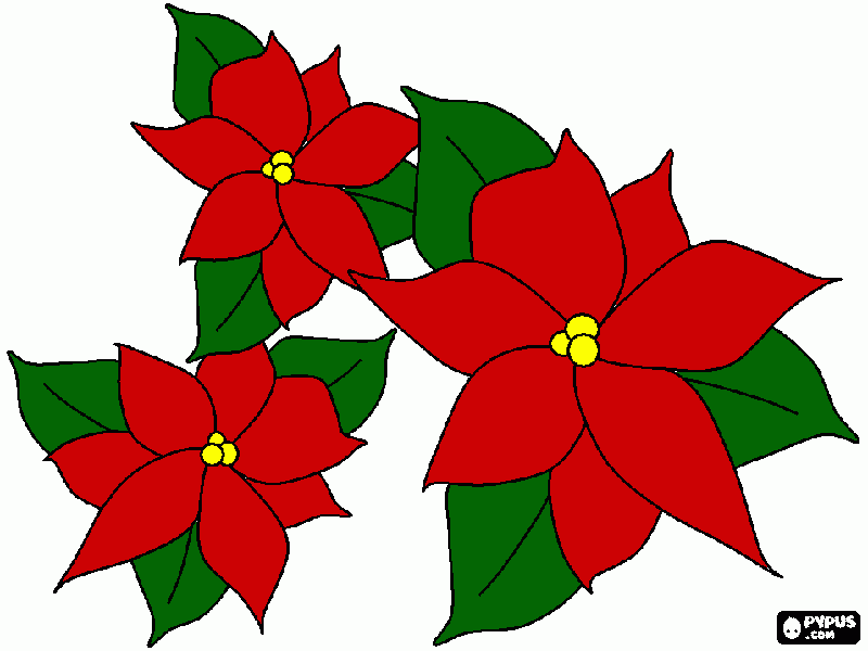 stelle di Natale da colorare