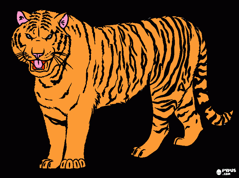 tigre siberiana da colorare