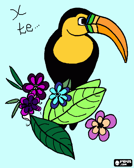 tucano da colorare