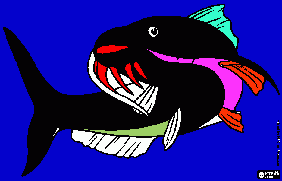 UN PESCE BAFFO PER TE COLORATO DA ALEX  da colorare