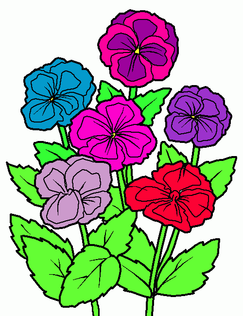 viole da colorare