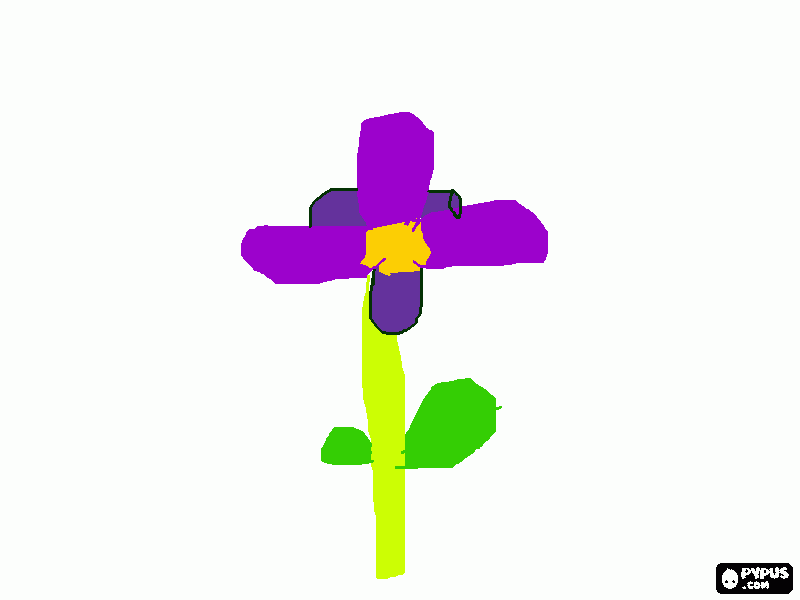 violetta  del  pensiero da colorare