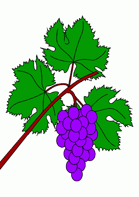 vite da colorare