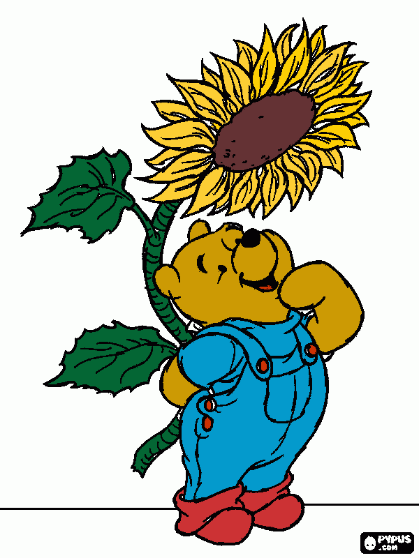 winny da colorare