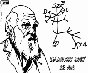 Colora Albero dell'evoluzione di Darwin
