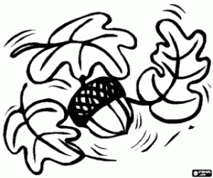 Colora Alcune foglie di quercia e una ghianda