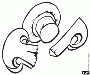 Colora Alcuni funghi tagliati