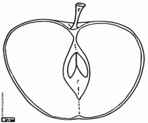 Colora All'interno di una mela