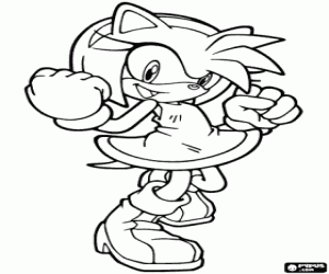 Colora Amy Rose, un riccio di Sonic