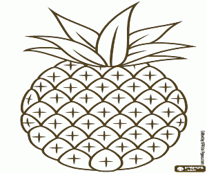 Colora Un ananas tropicale, disegno semplice