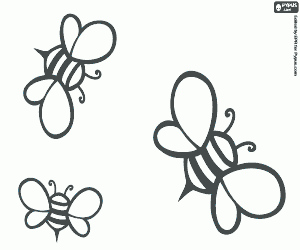 Colora Api, i produttori di miele