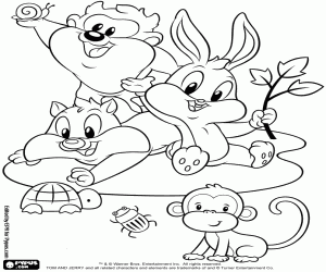 Colora Baby Looney Tunes con piccoli animali