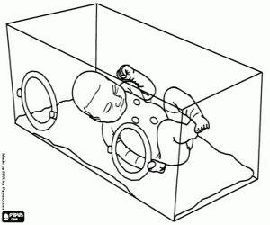 Colora Bambino prematuro in incubatrice