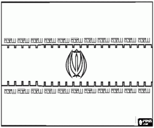 Colora Bandiera dell'Iran