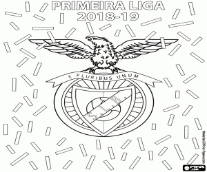 Colora Benfica, campione 2018-2019