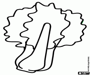 Colora La bietola, una pianta commestibile