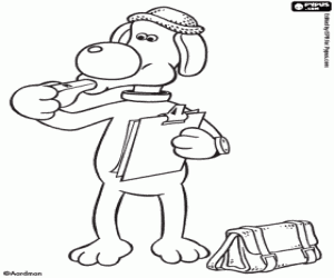 Colora Bitzer è l'allenatore