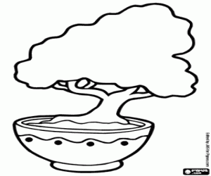 Colora Un bonsai giapponesi