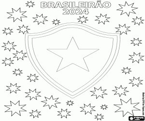 Colora Botafogo, Brasileirão 2024