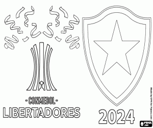 Colora Botafogo, campione Libertadores 2024