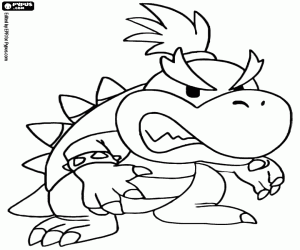 Colora Bowser Jr., Super Mario Bros