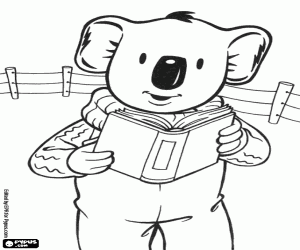 Colora Buster il koala legge un libro