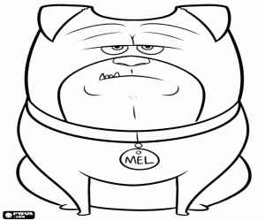 Colora Un cane da compagnia, Mel