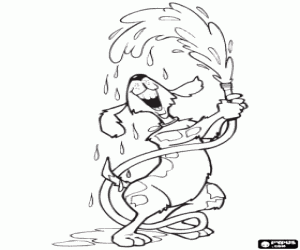 Colora Il cane gioca con acqua