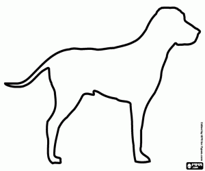 Colora Cane pointer inglese silhouette