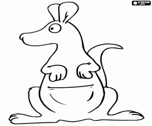 Colora Un canguro, visto dalla parte anteriore