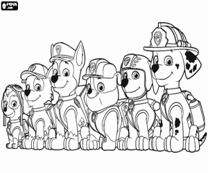 Colora Sei cani di Paw Patrol