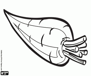 Colora La carota, una radice, un vegetale